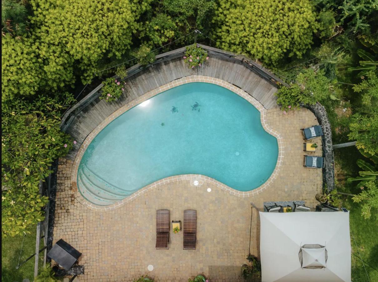 The Koi House With Pool Leilighet Kailua-Kona Eksteriør bilde